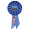 Beistle Set of 6 Blue Bonne Retraite (Happy Retirement) Rosette Ribbon 6.5”